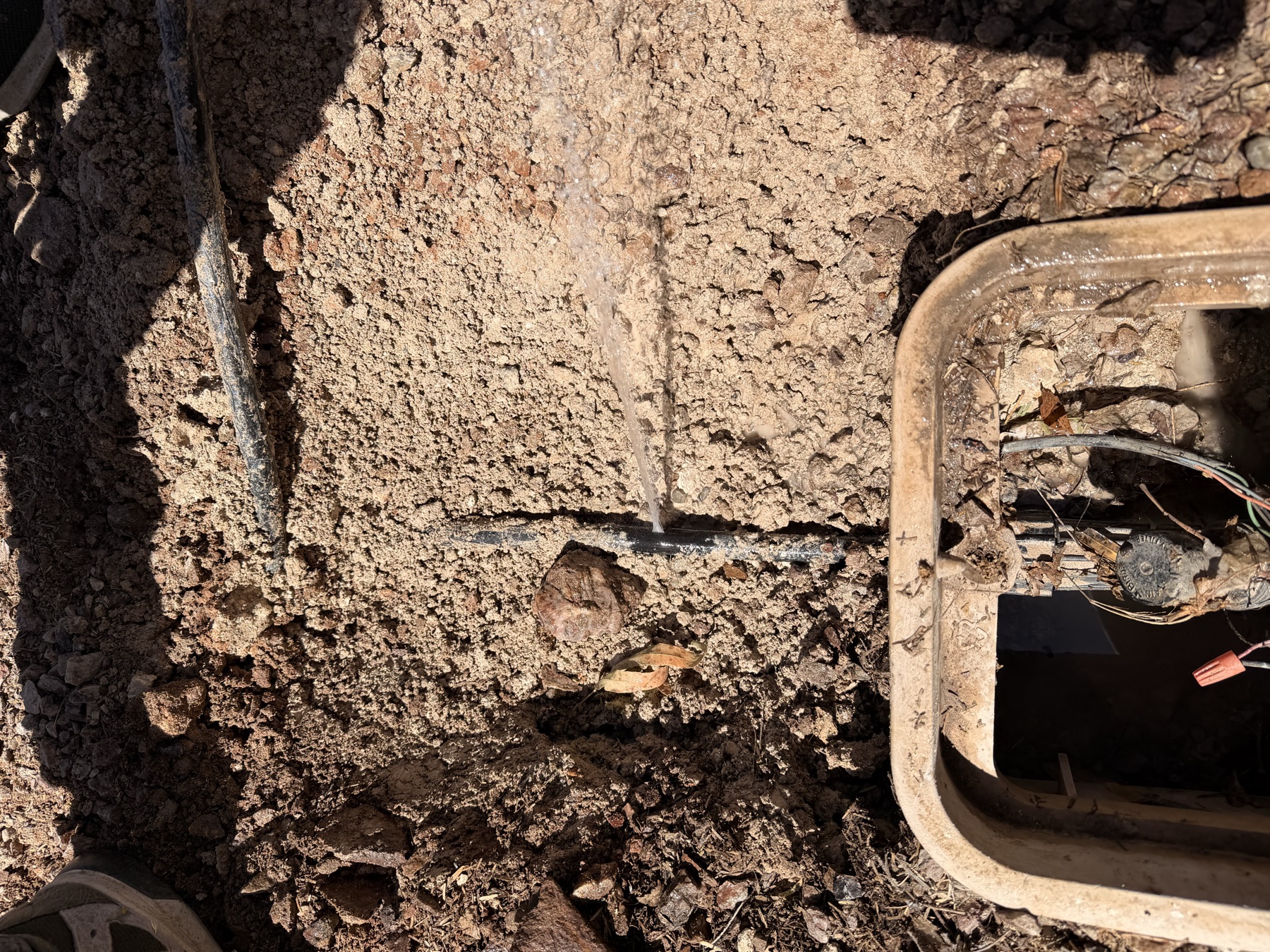 Irrigation leak repair area opened for diagnosis in a Las Vegas landscape