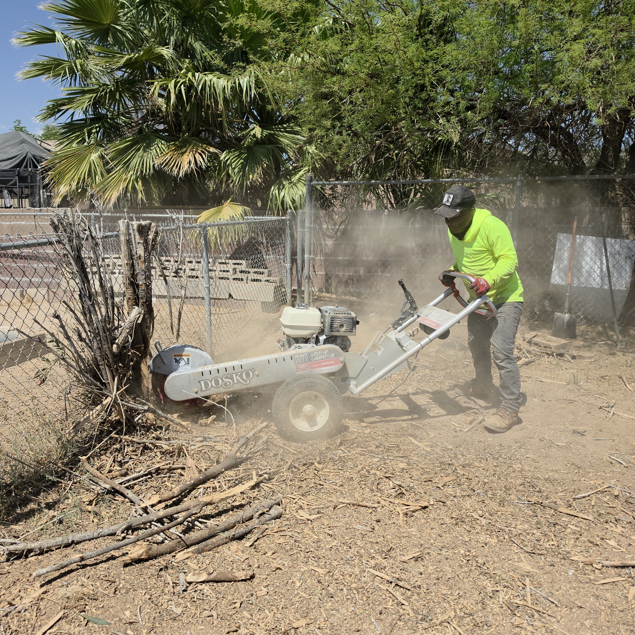 Tree stump grinding cleanup