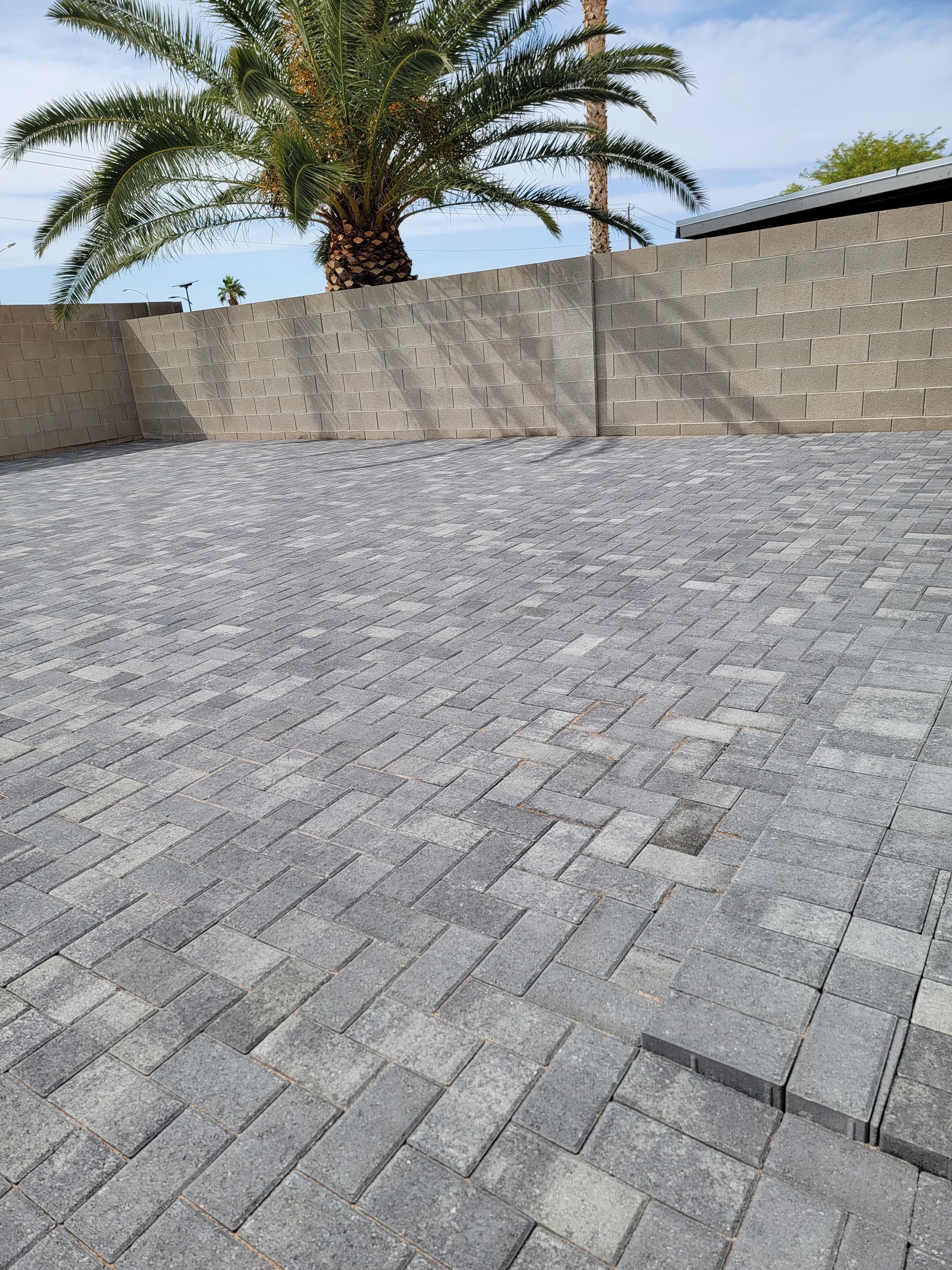 Large gray paver patio installation with palm tree and block wall