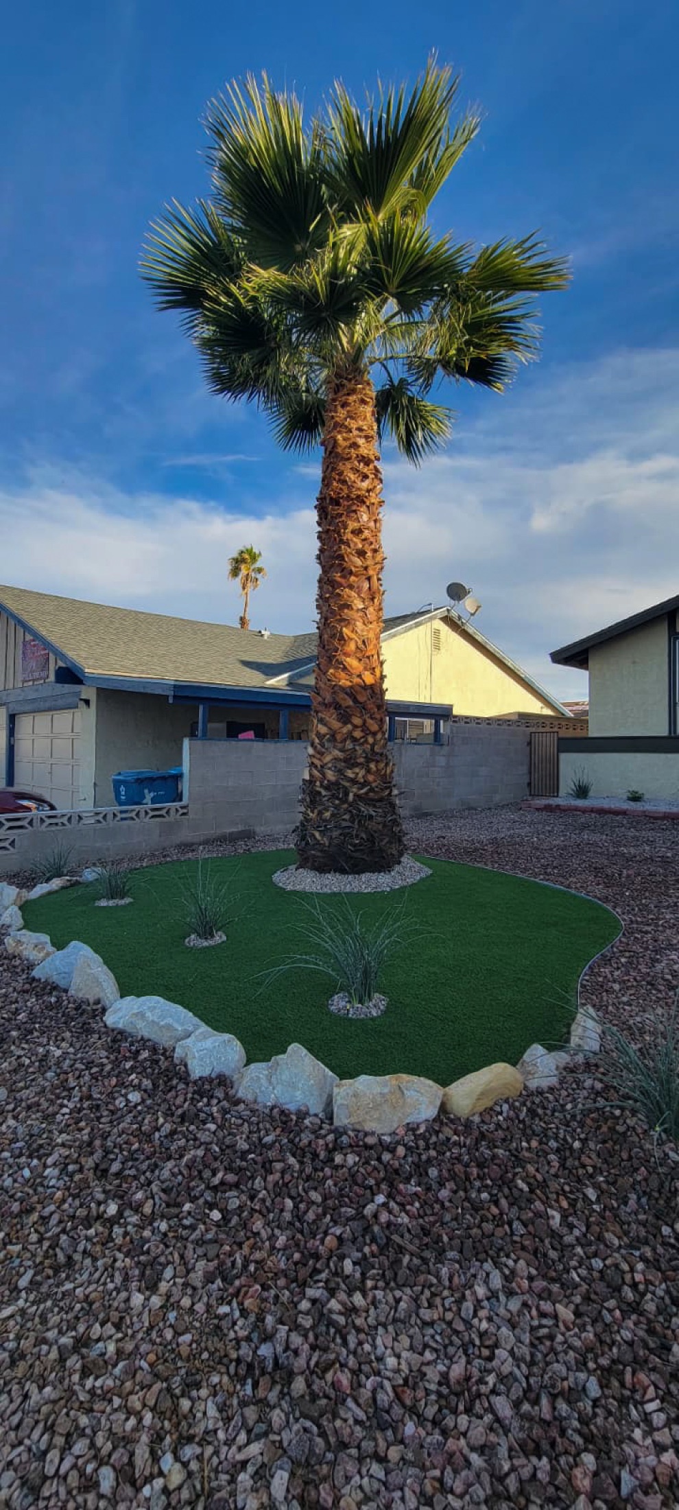 Artificial turf circle around a palm with decorative rock and boulder border