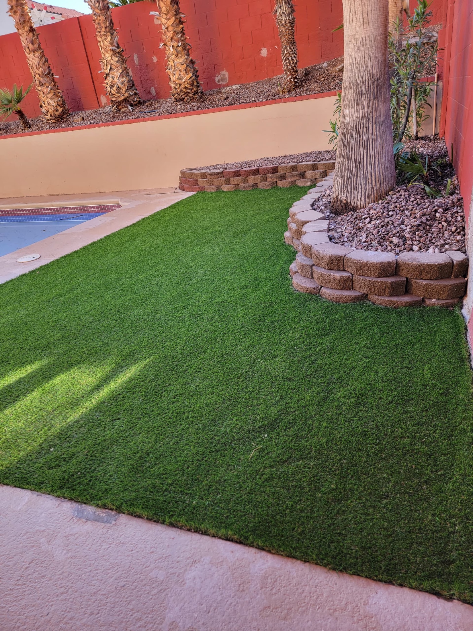 Artificial turf and block tree ring around a palm by a pool