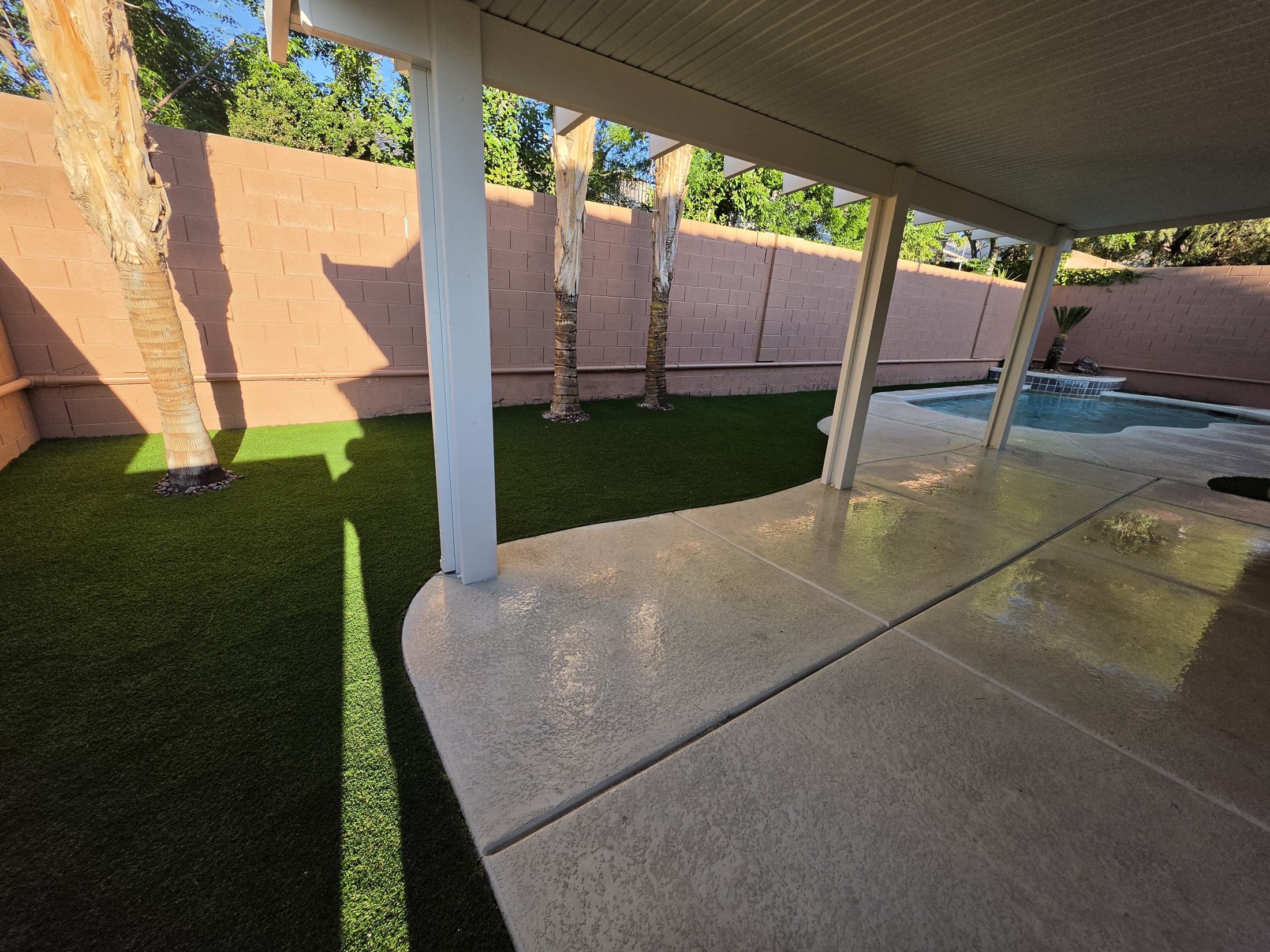 Artificial turf backyard under patio cover beside pool and palm trees